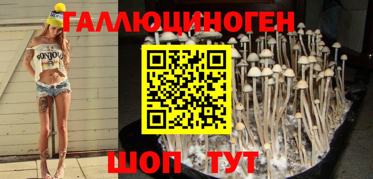 Псилоцибиновые грибы мухоморы  Вход с VPN  дарнет шоп  Псилоцибиновые грибы GOLDEN TEACHER  Норильск 